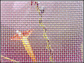 Aluminum Alloy Wire Mesh Insect Screening (Magnalium Insect Screen)